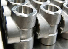Stainless Steel Forged Fittings 不锈钢锻造配件