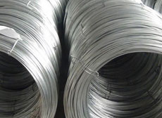 Stainless Steel Wire 不锈钢线