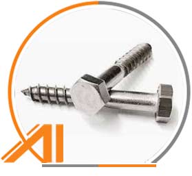 Alloy 316 Coach Screw