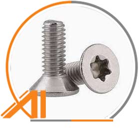 AISI 316 En 1.4401 Torx Screw